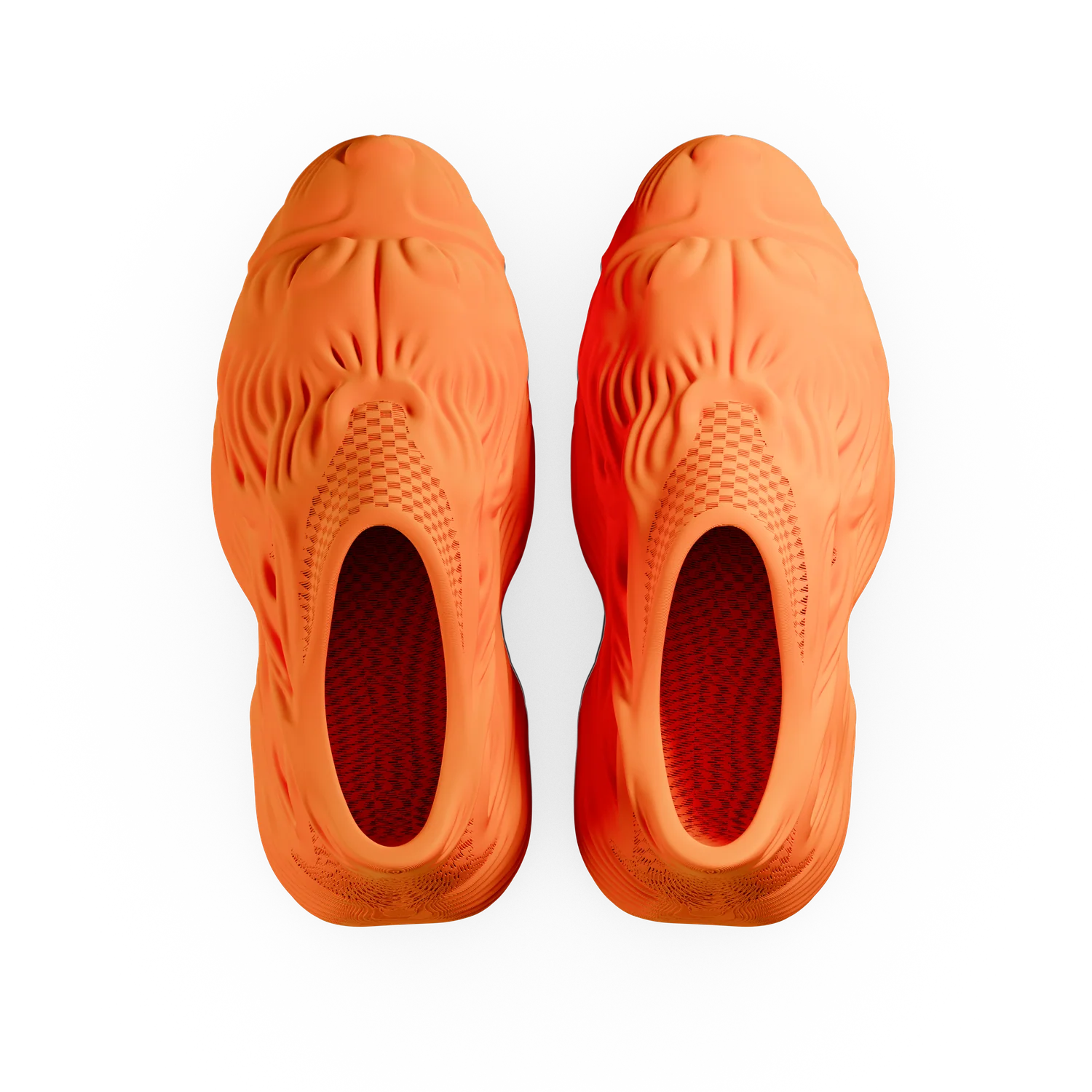 CERBERUS - Image 27
