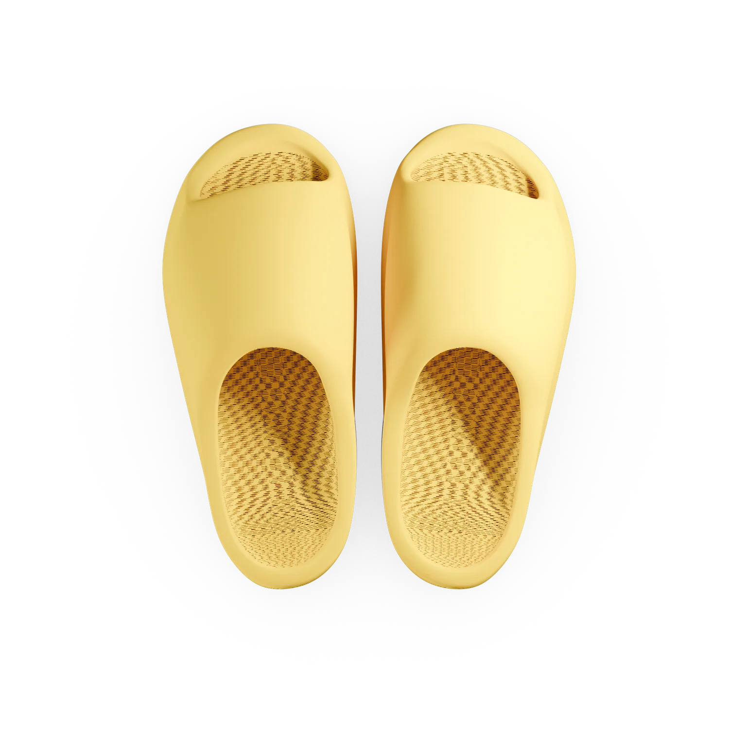 Dolphin Slide - Image 9