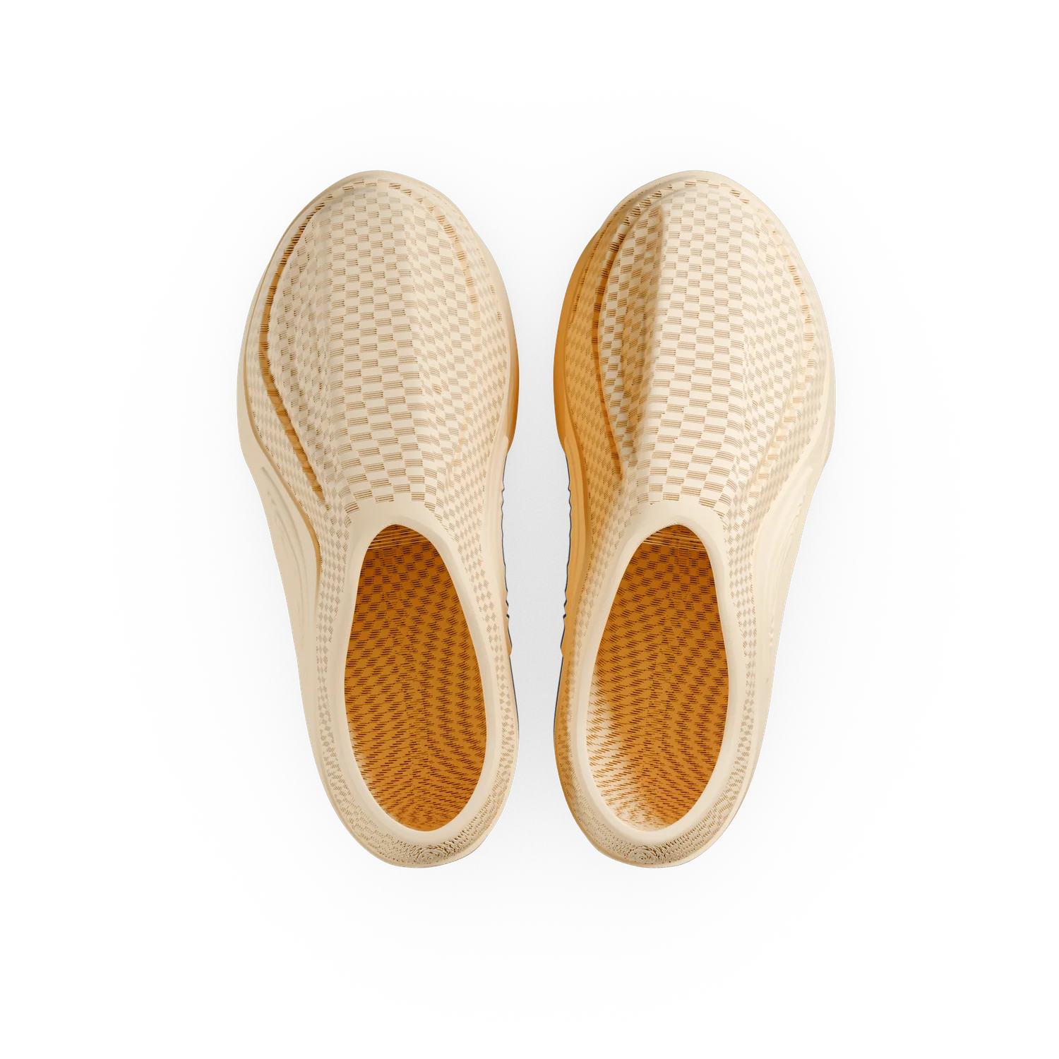 FOSSIL - Image 15