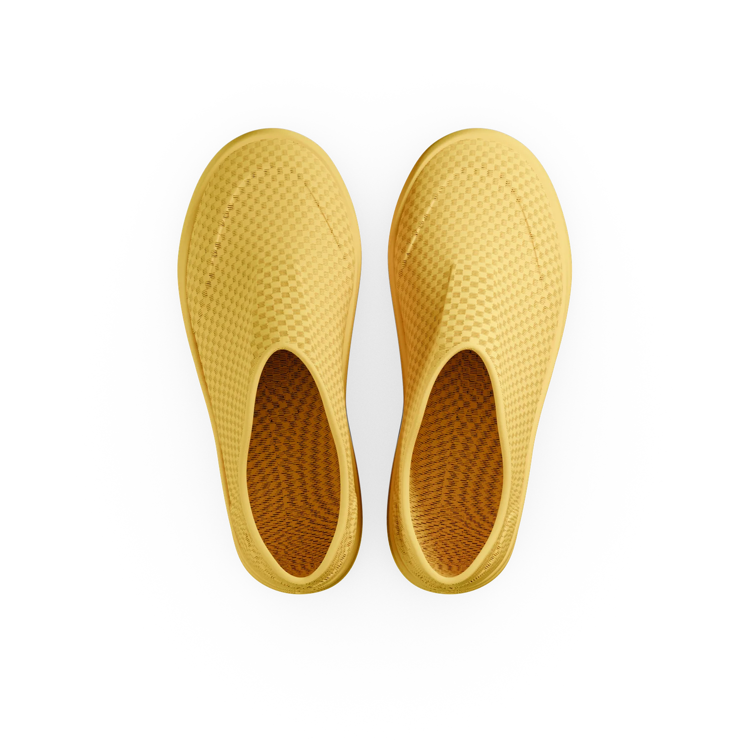 Paca - Image 3