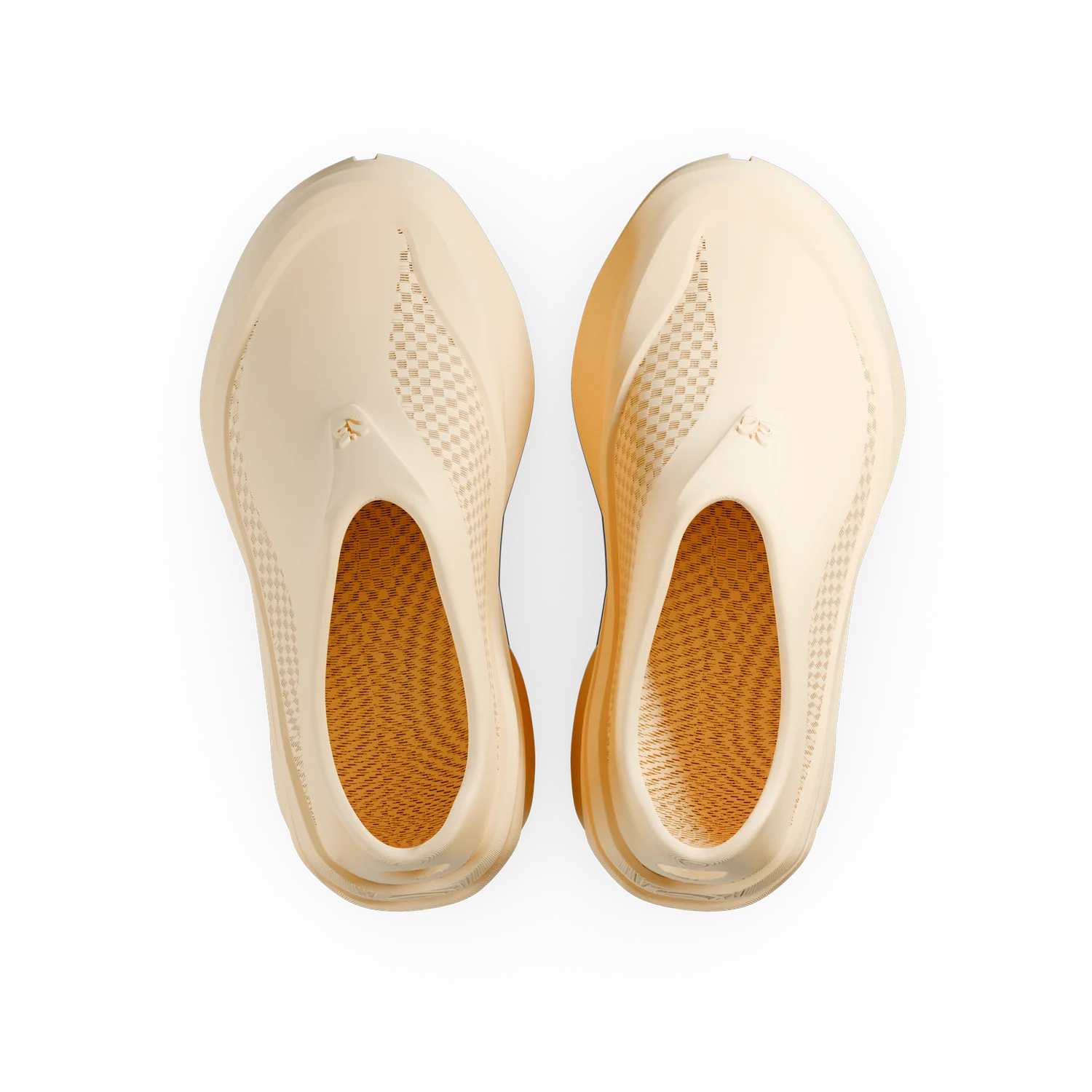 SEGLA - Image 15