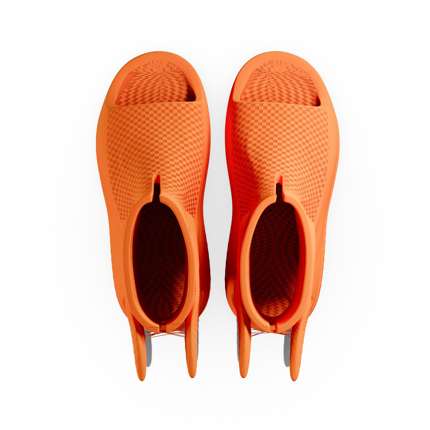 TALARIAS - Image 21