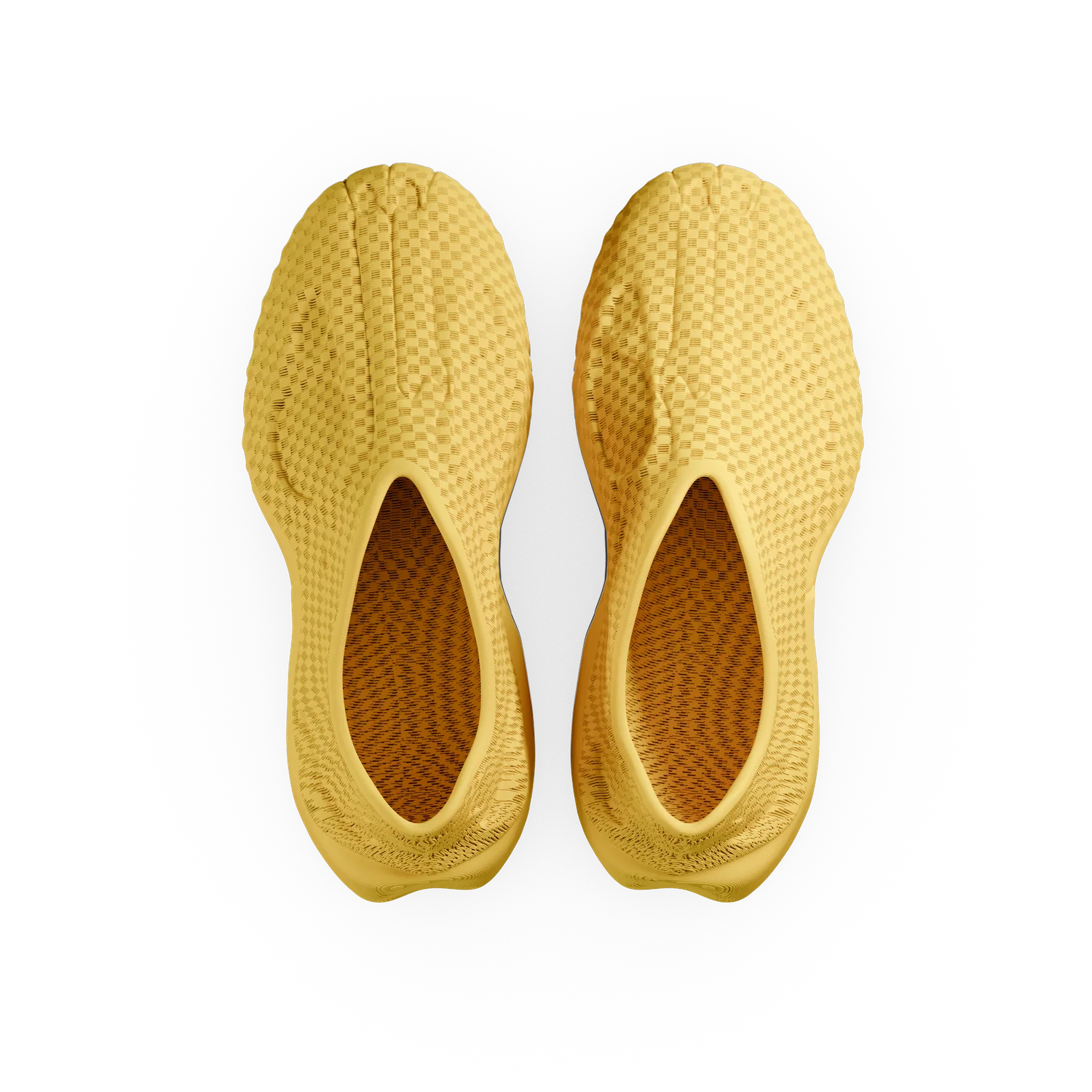 TREX - Image 15
