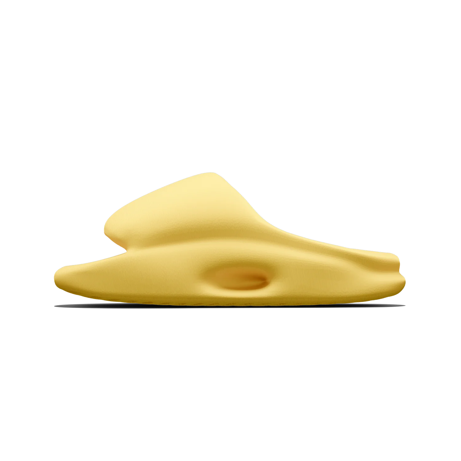 Vaquita Slide - Image 11