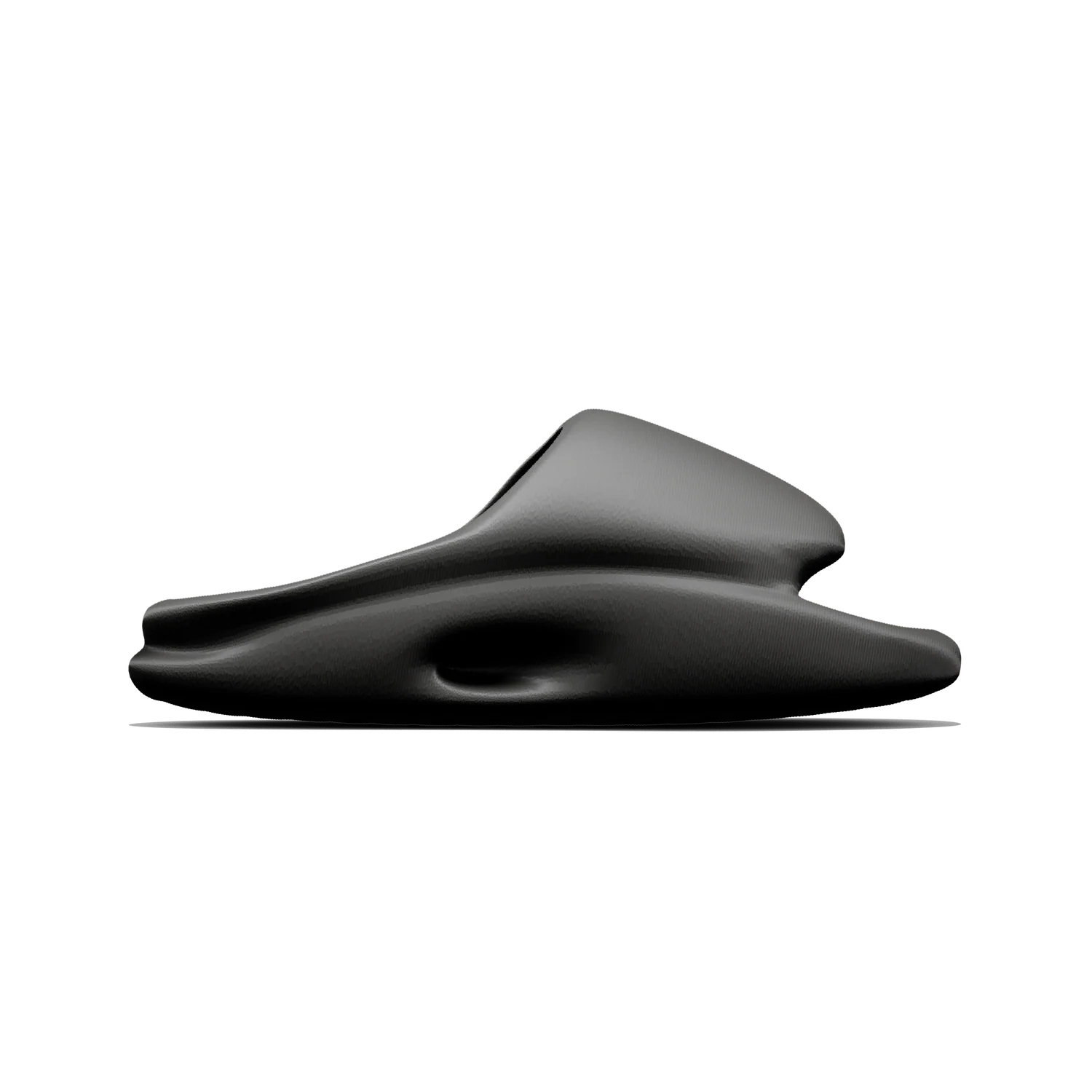 Vaquita Slide - Image 19